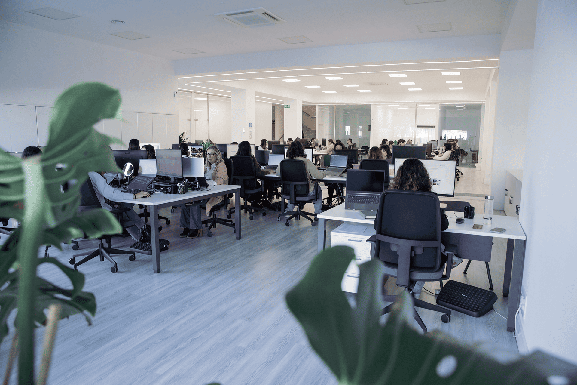 Consultor alimentario